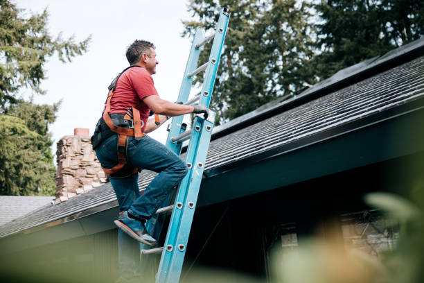 Best Roof Coating and Sealing  in Romeovle, IL