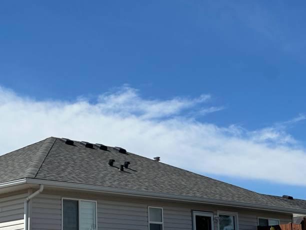 Best Solar Panel Roofing Installation  in Romeovle, IL